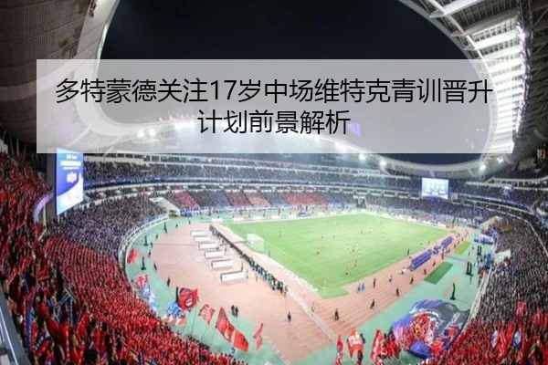 多特蒙德关注17岁中场维特克青训晋升计划前景解析